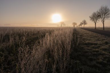 Frühnebel über den Feldern zwischen Elsen und Sande | Jan Thauern